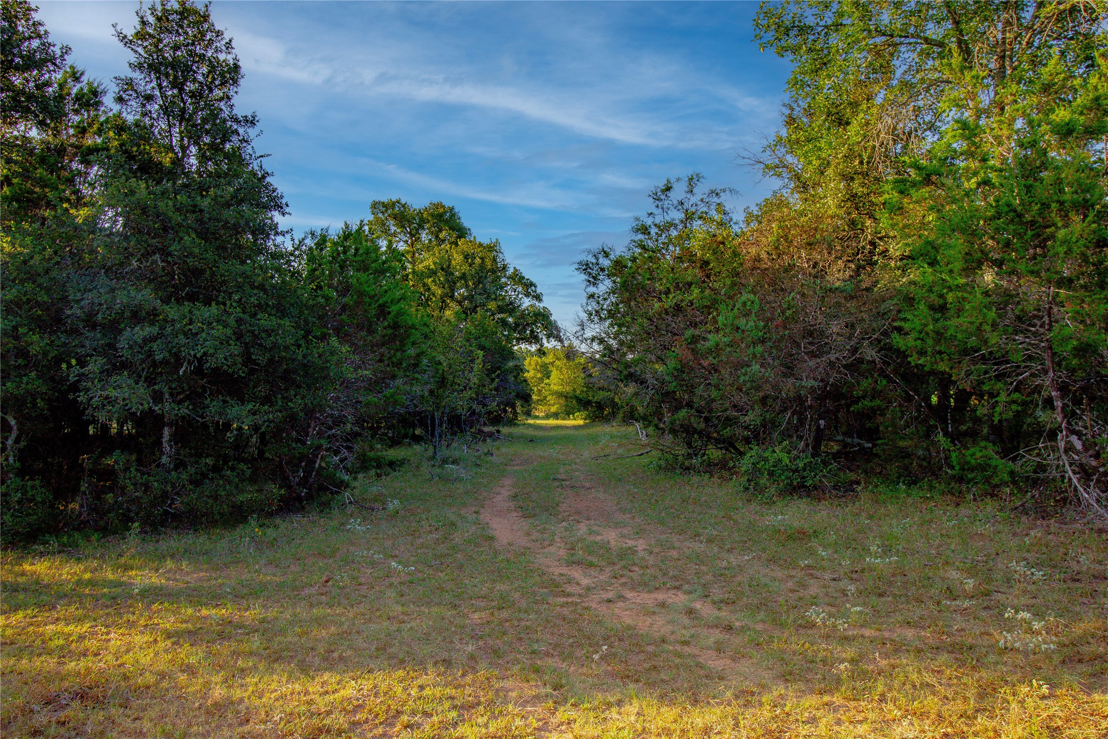 Tbd Teague Lane Jacksboro TX 76458