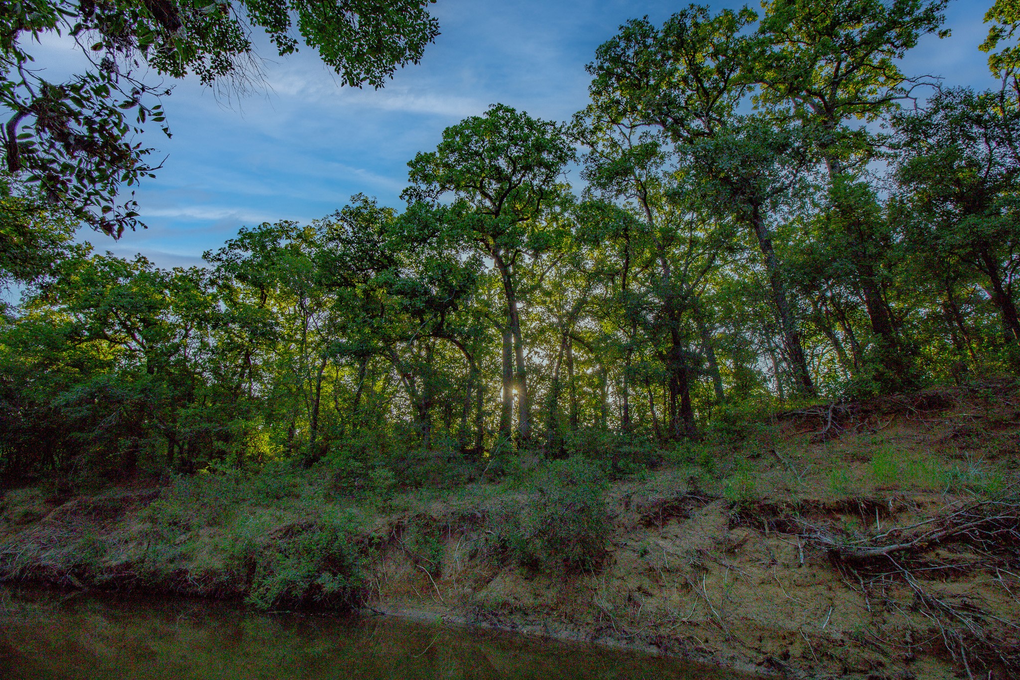 Tbd Teague Lane Jacksboro TX 76458