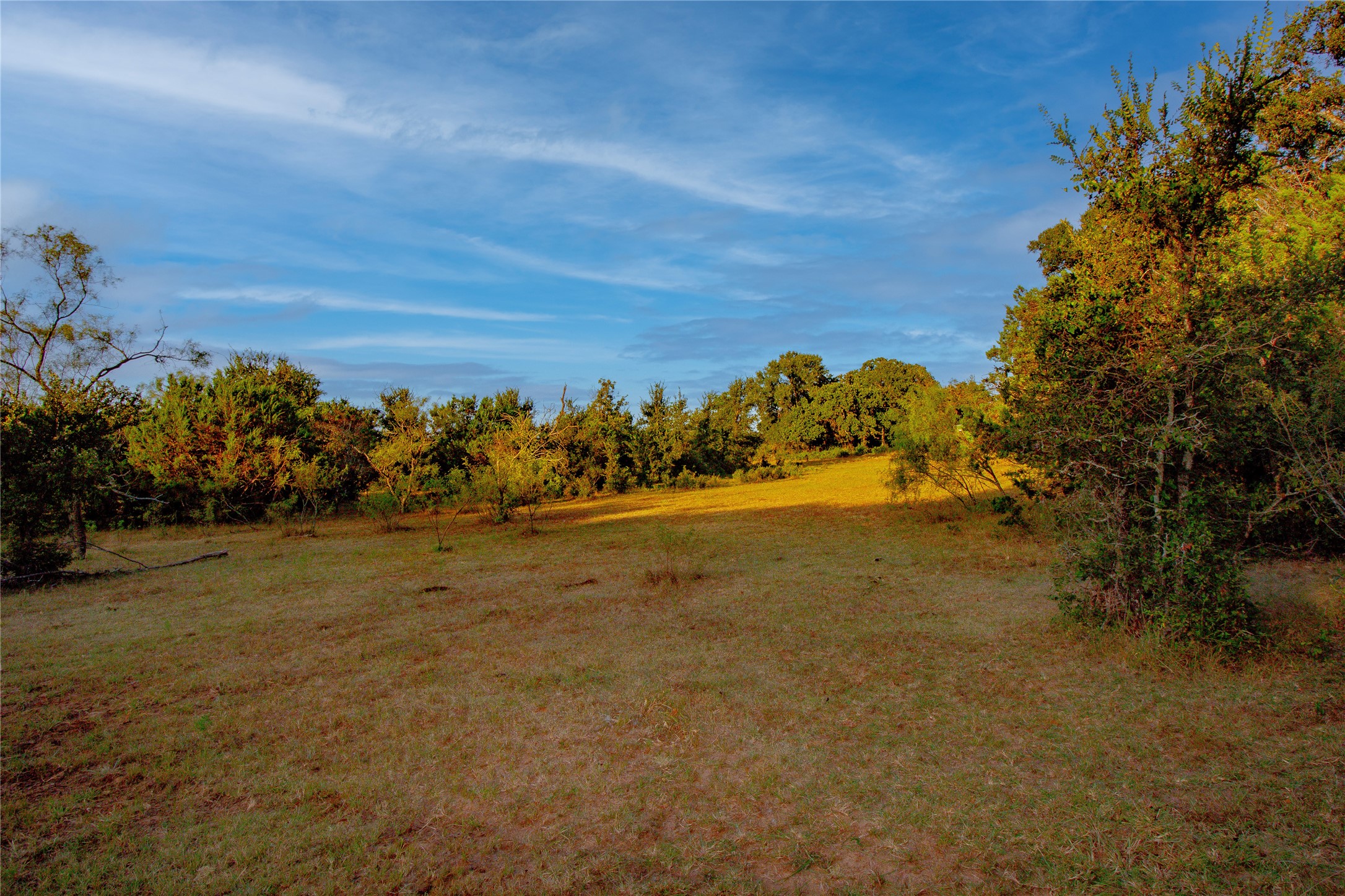 Tbd Teague Lane Jacksboro TX 76458