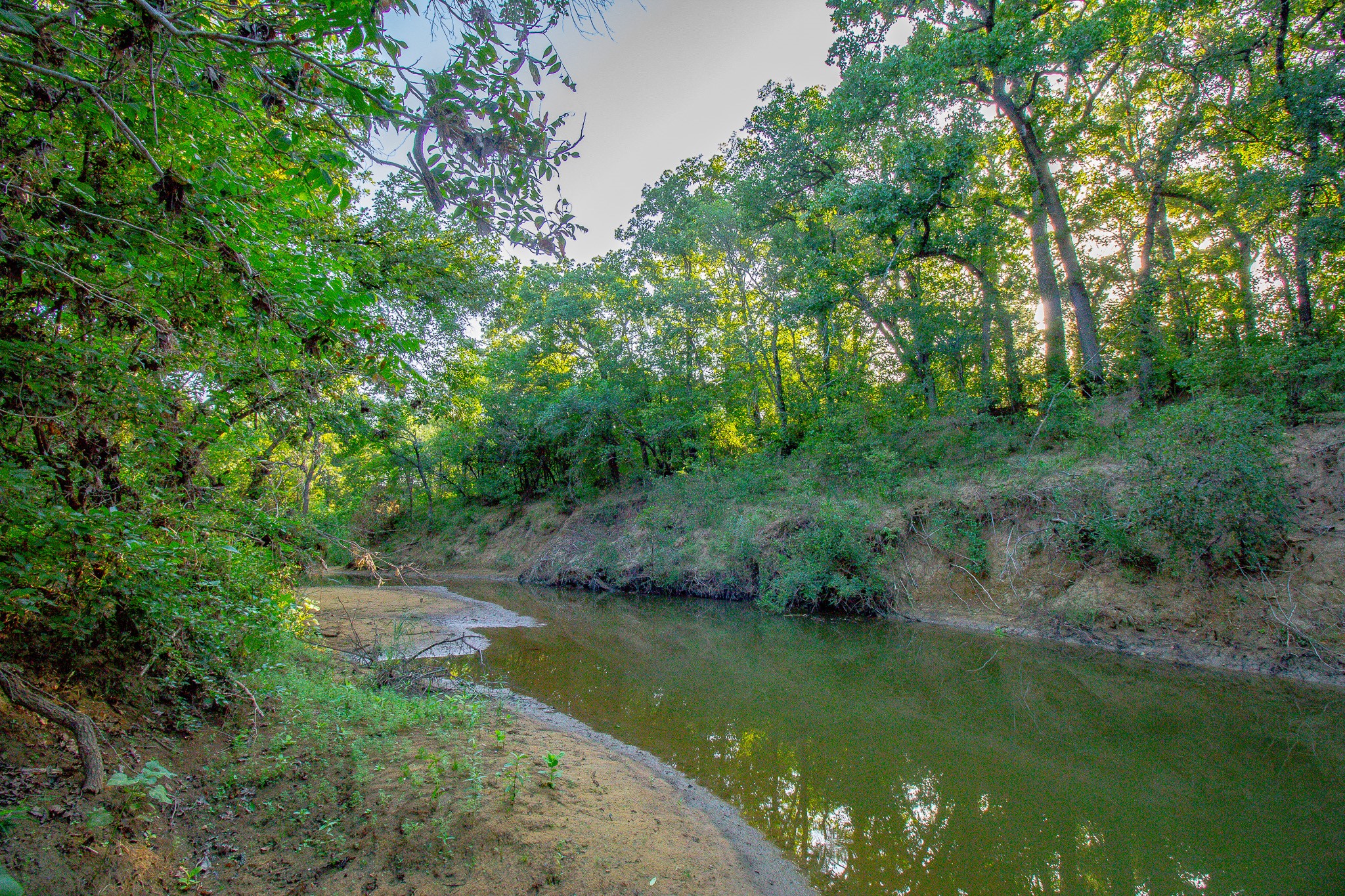 Tbd Teague Lane Jacksboro TX 76458
