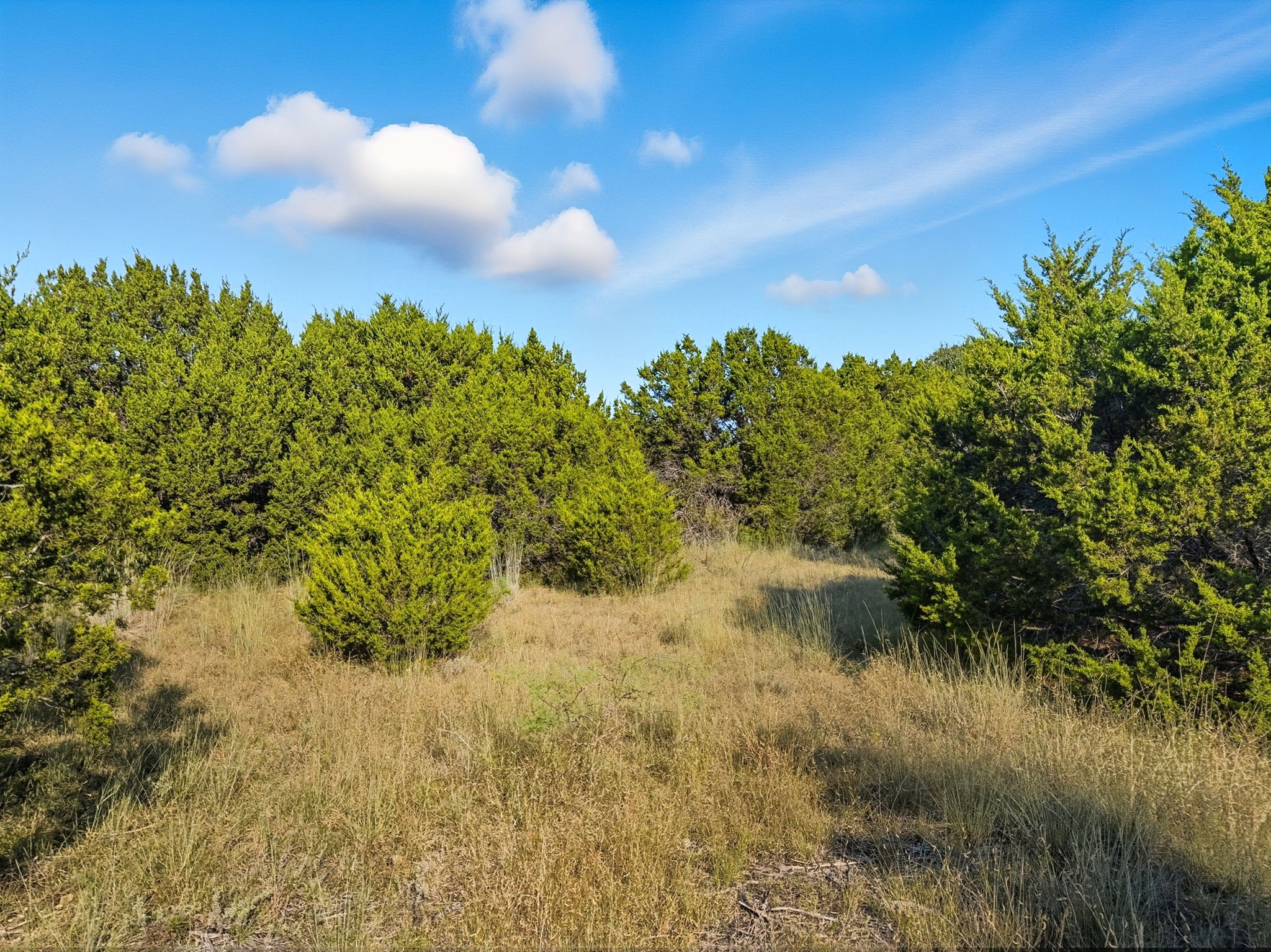 Lot 24 Ph 4 Pr 42126 Evant TX 76566
