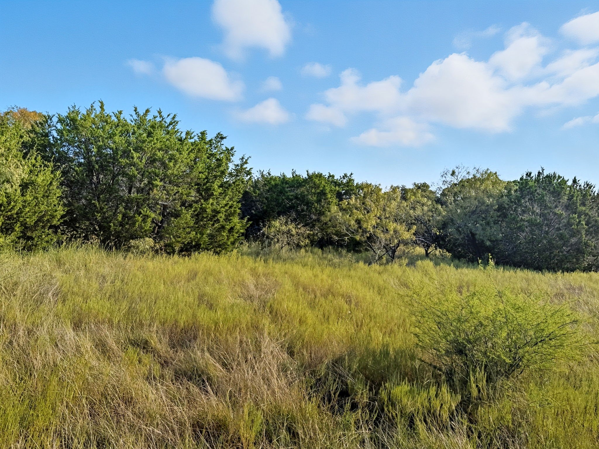 Lot 24 Ph 4 Pr 42126 Evant TX 76566