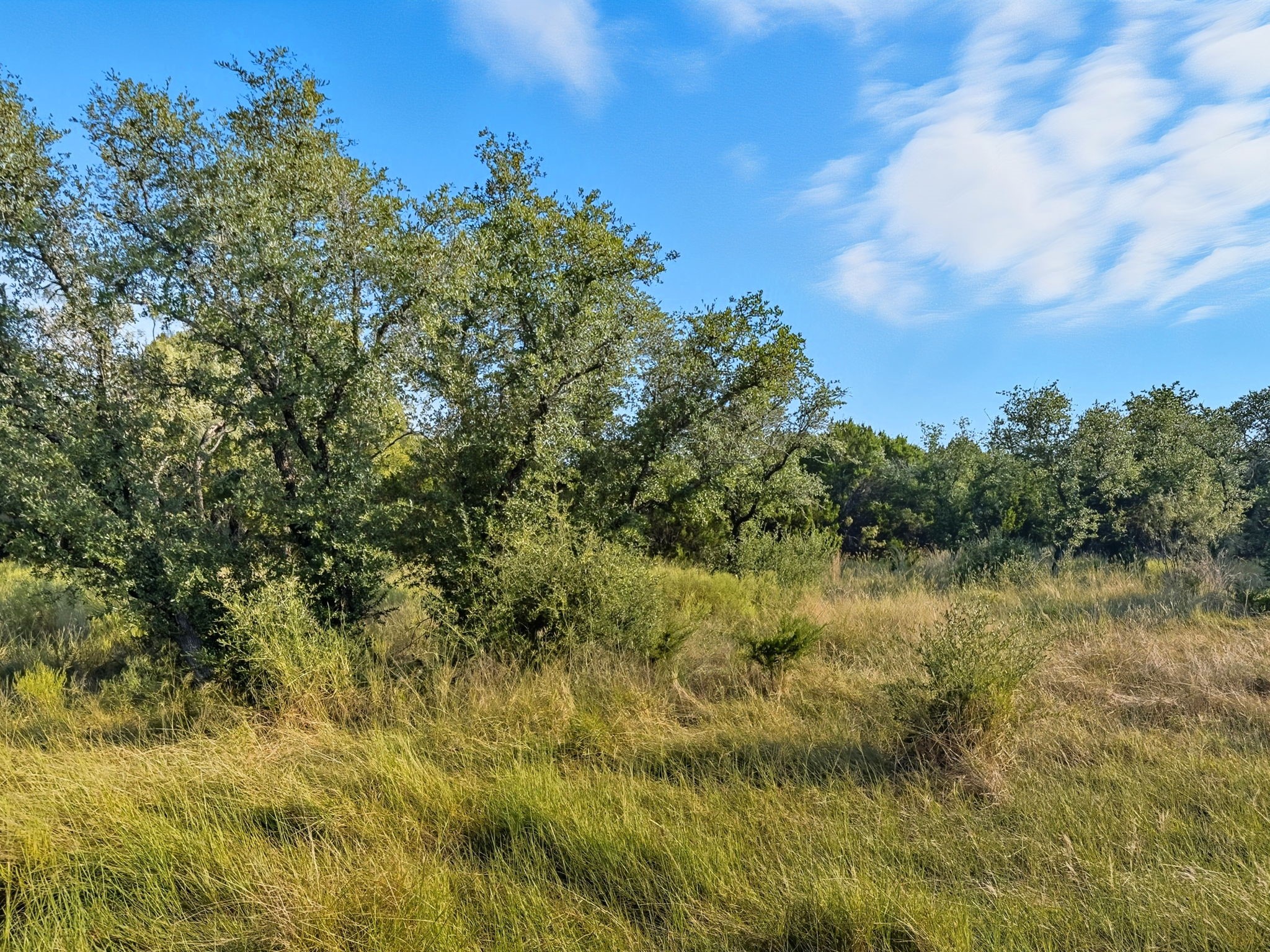 Lot 24 Ph 4 Pr 42126 Evant TX 76566