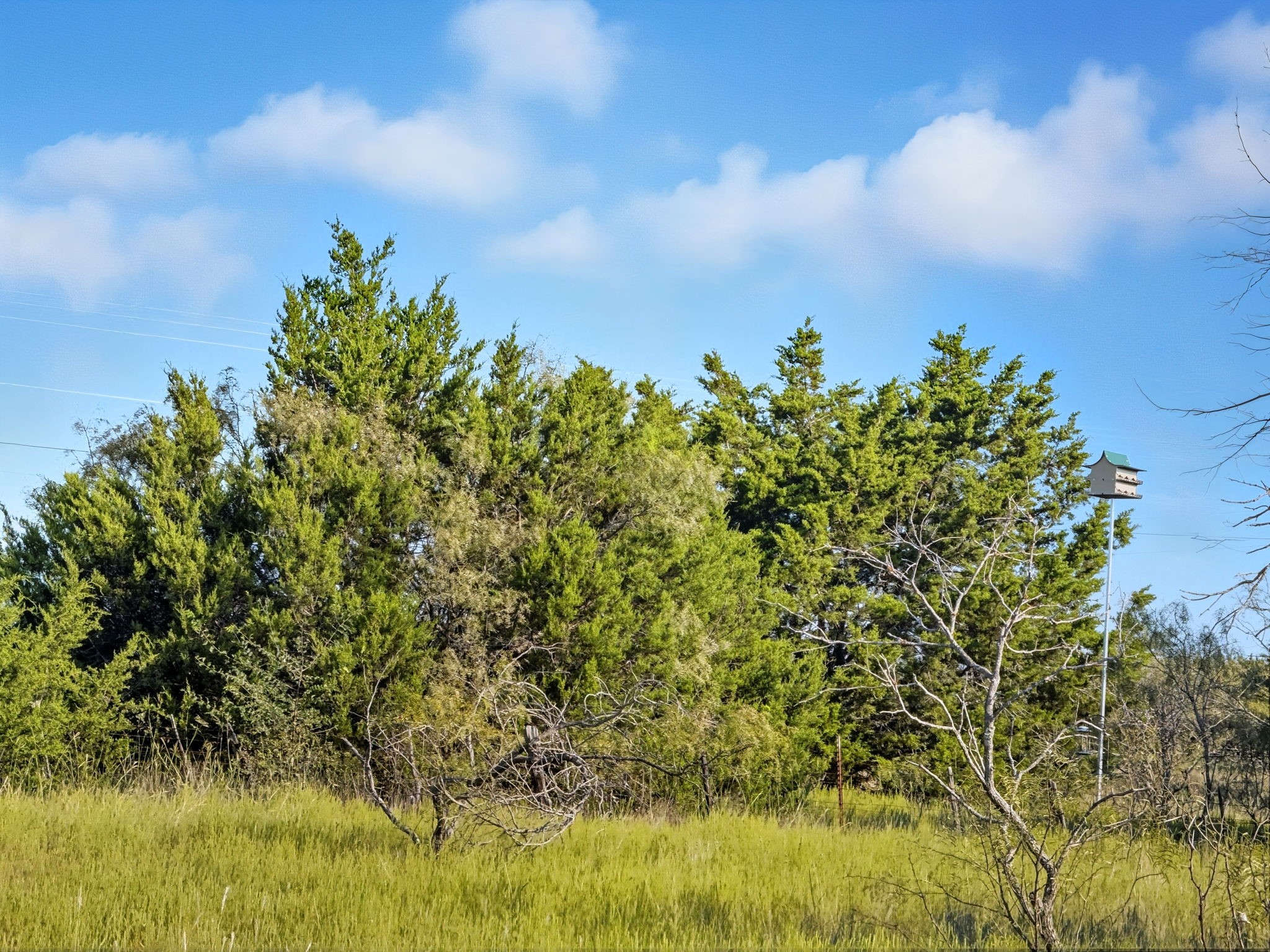 Lot 24 Ph 4 Pr 42126 Evant TX 76566