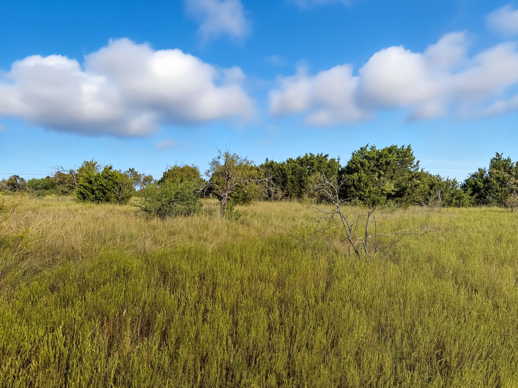 Lot 24 Ph 4 Pr 42126 Evant TX 76566