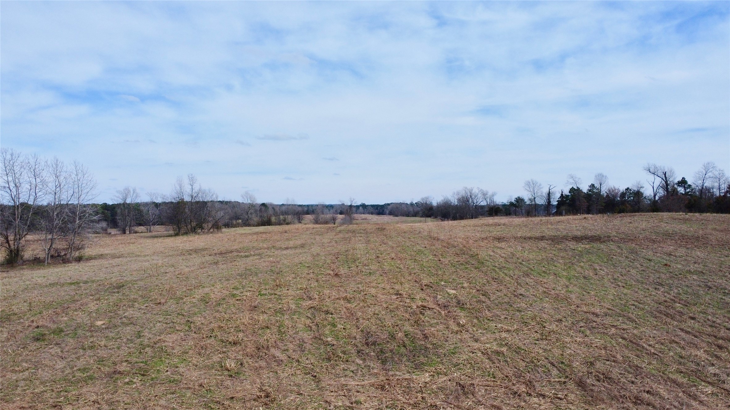Tbd Cr 1460 Linden TX 75563