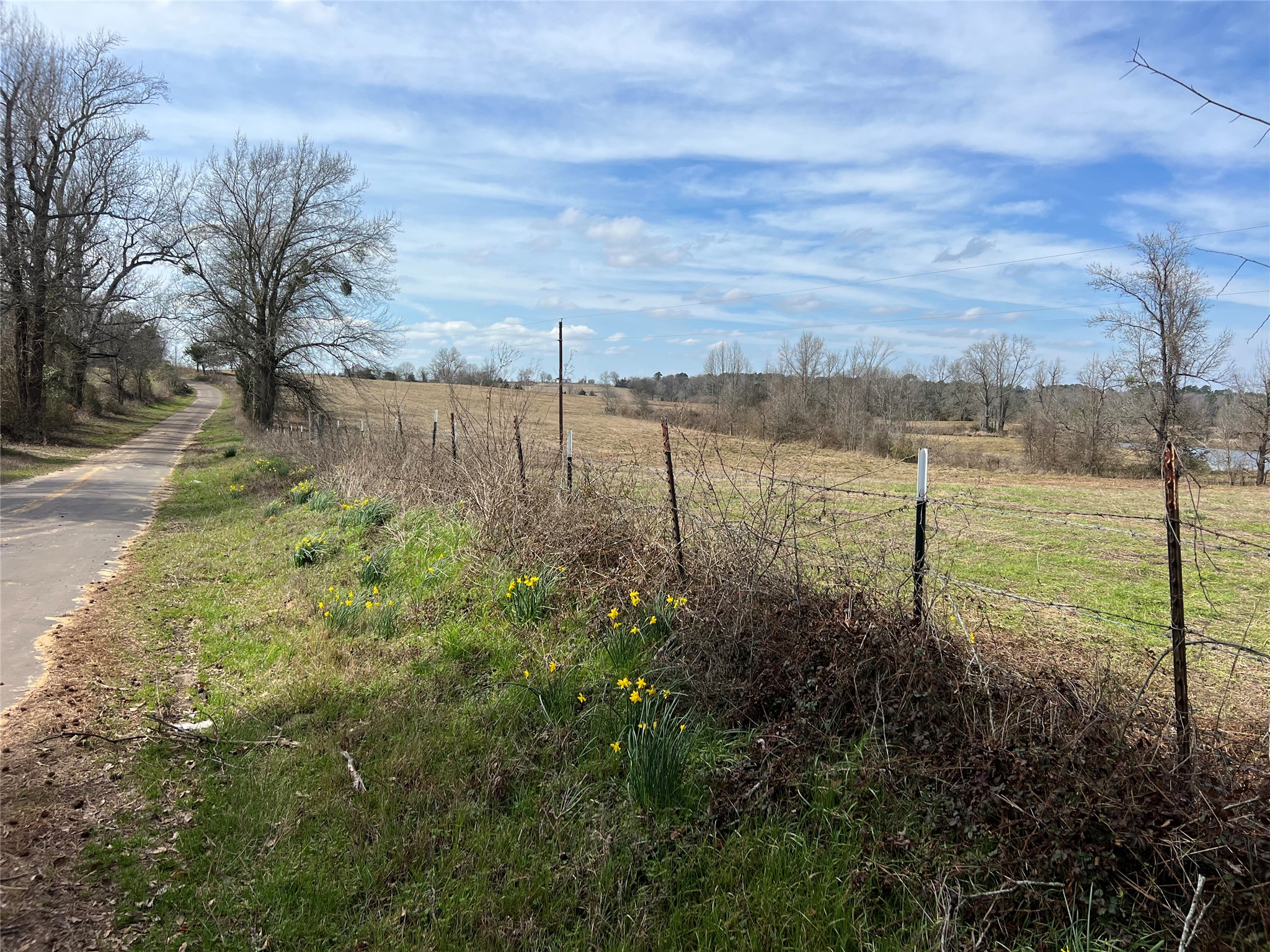 Tbd Cr 1460 Linden TX 75563