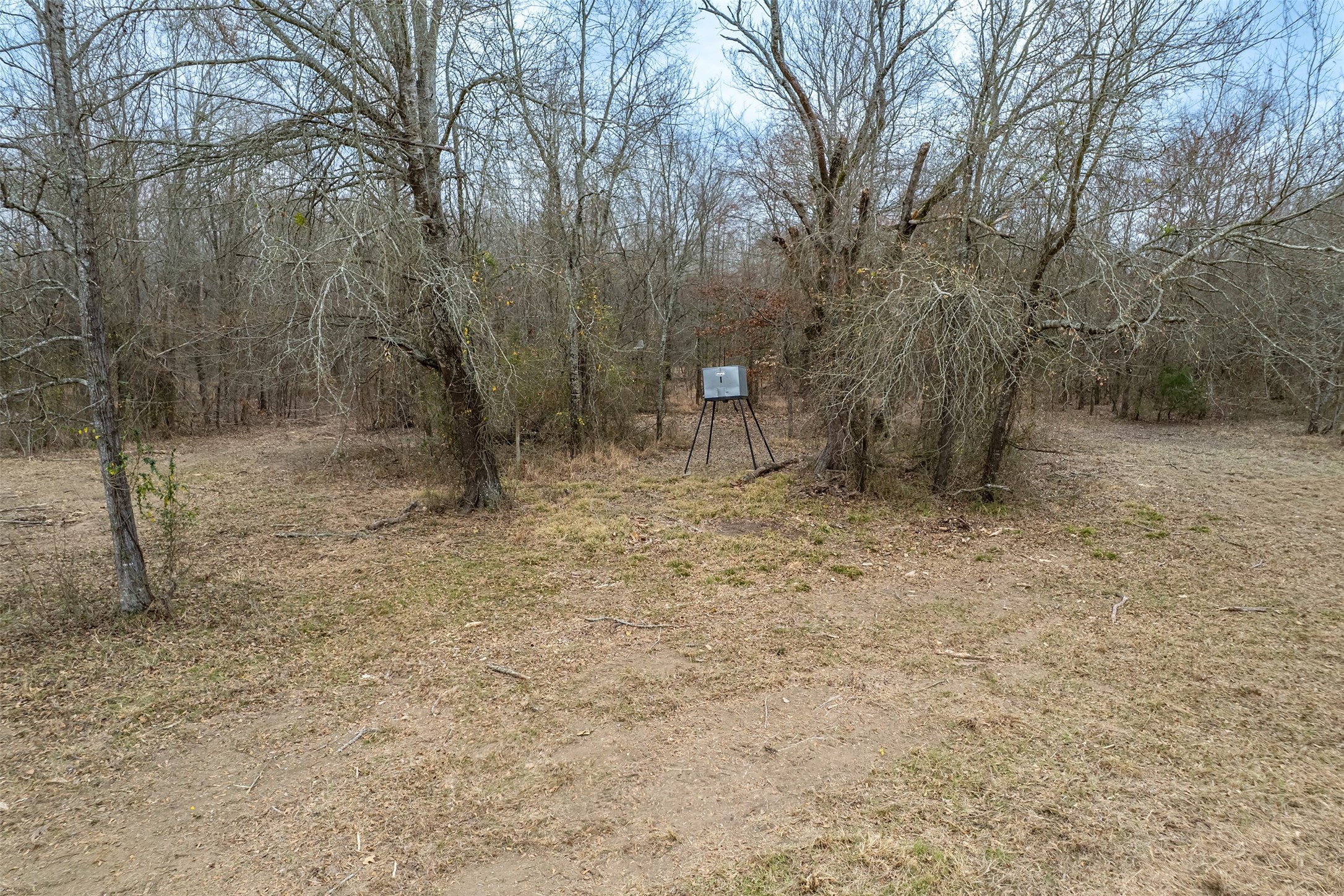 139 NW County Road Talco TX 75487