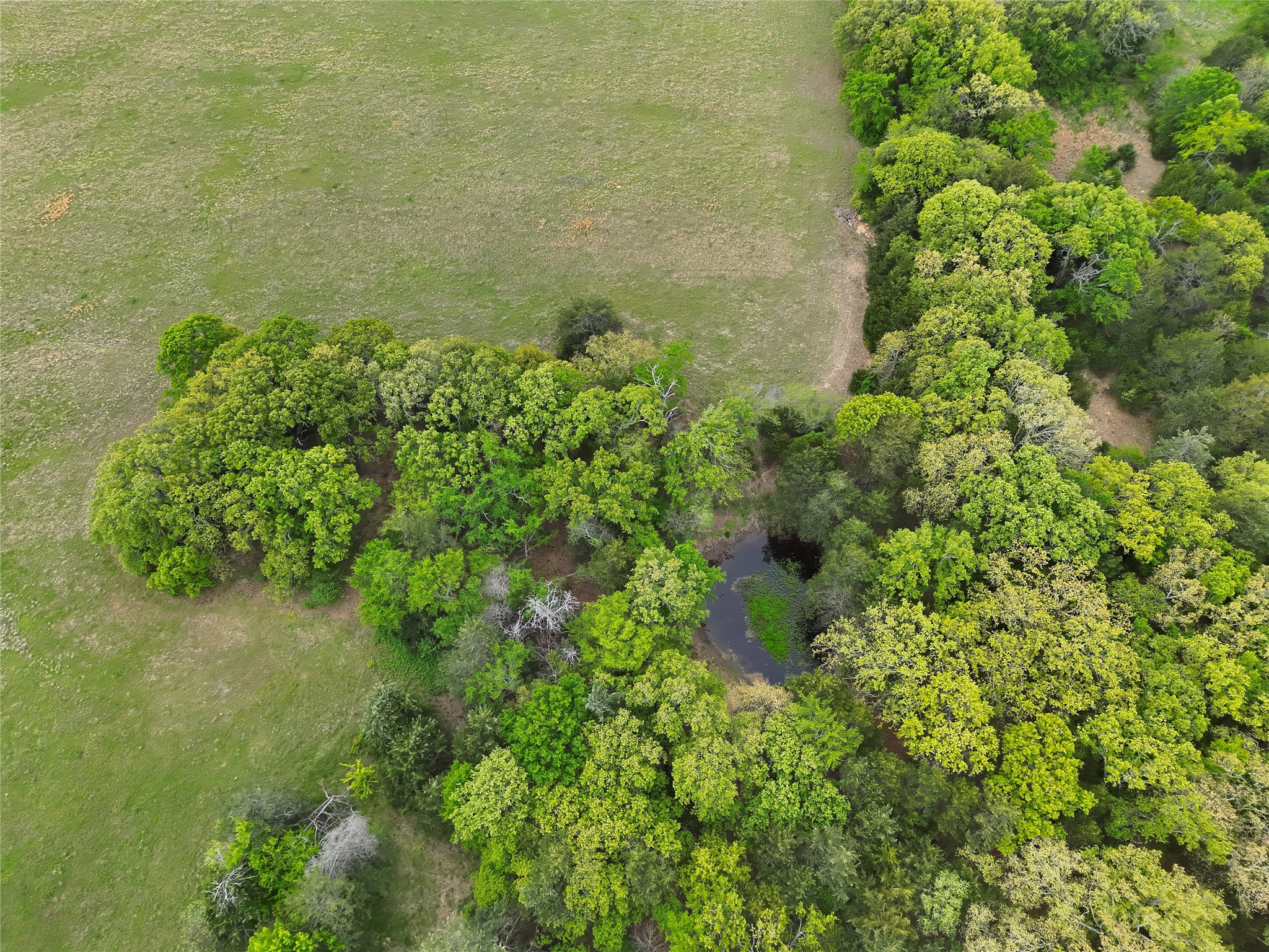 Tbd Cr 2605 Bonham TX 75418