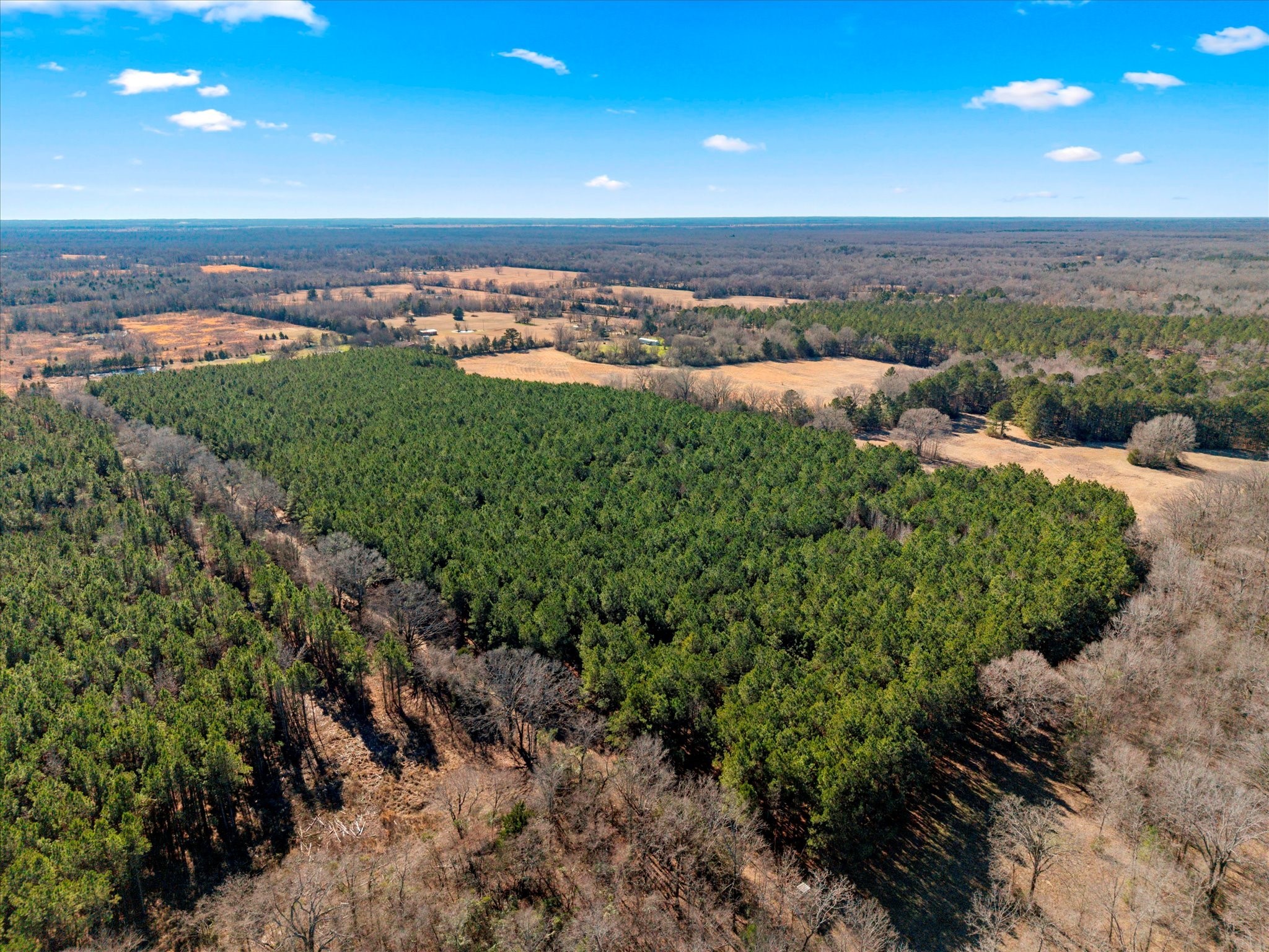 Tbd Cr-4316 De Kalb TX 75559