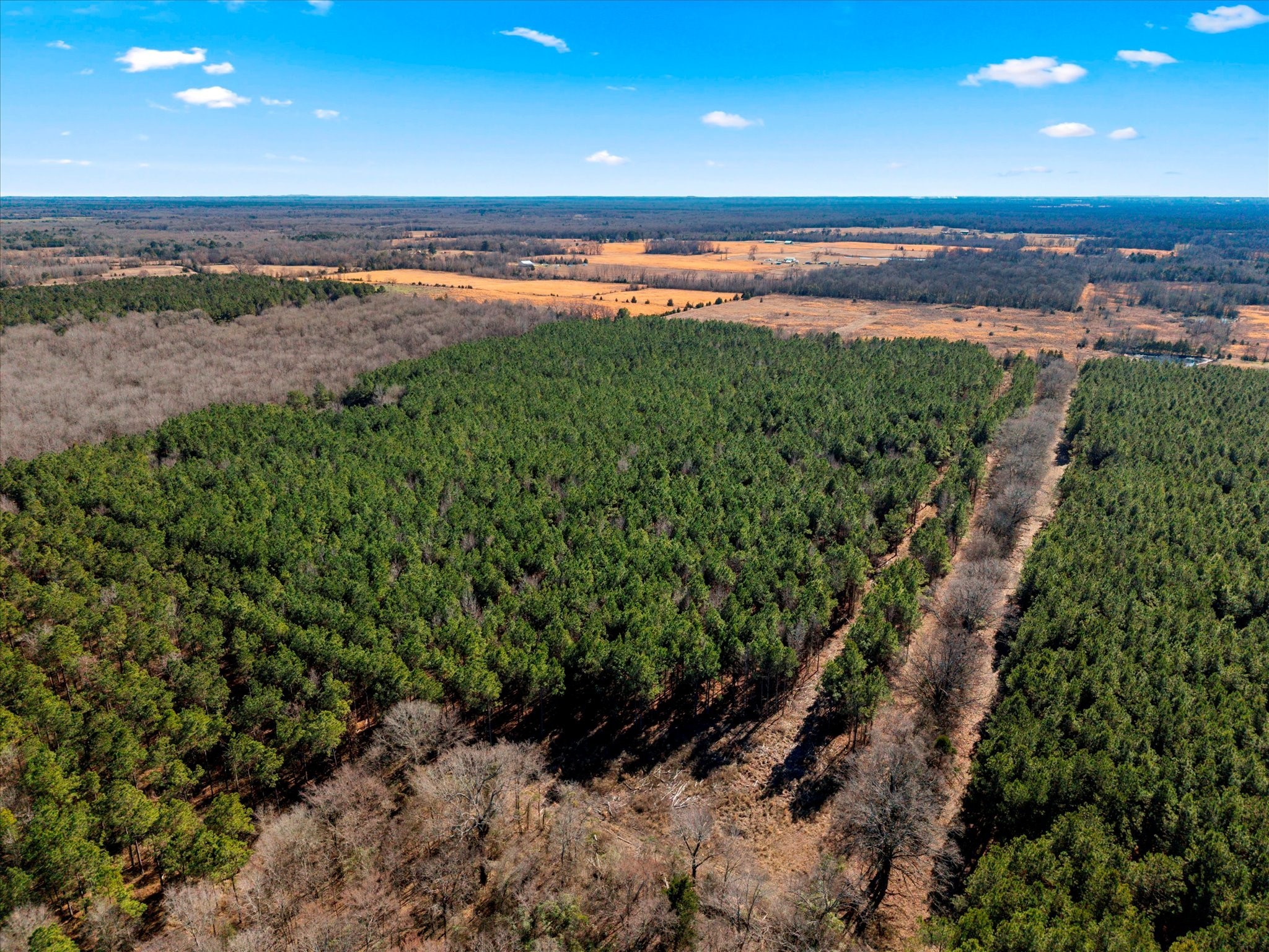 Tbd Cr-4316 De Kalb TX 75559