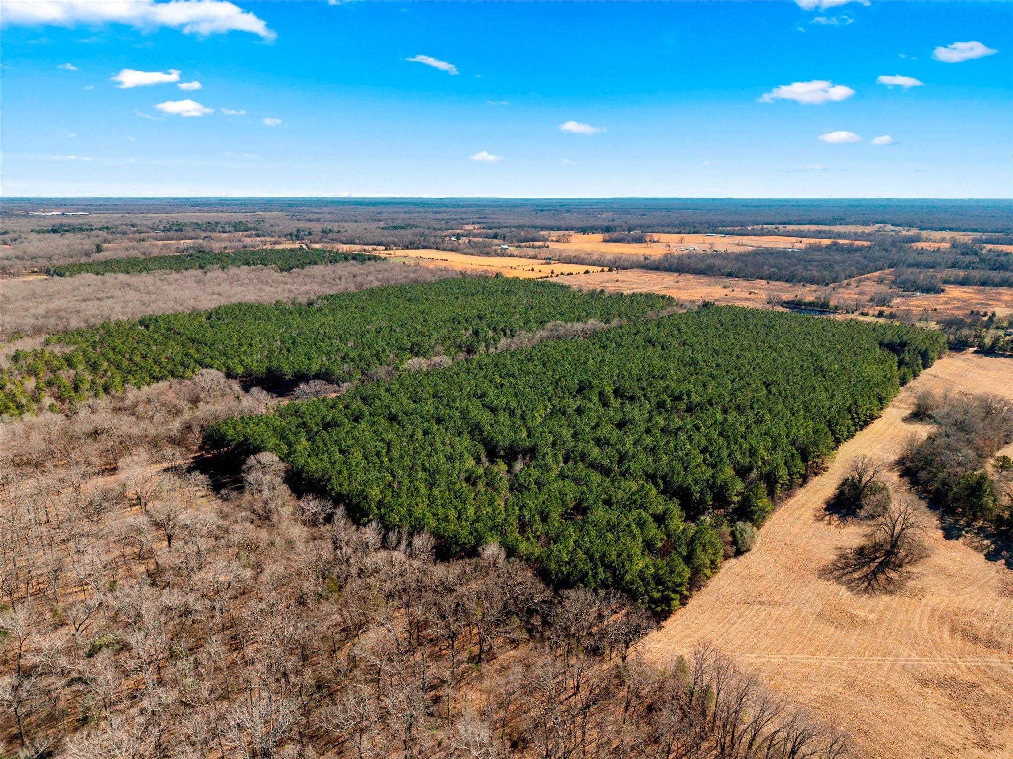 Tbd Cr-4316 De Kalb TX 75559