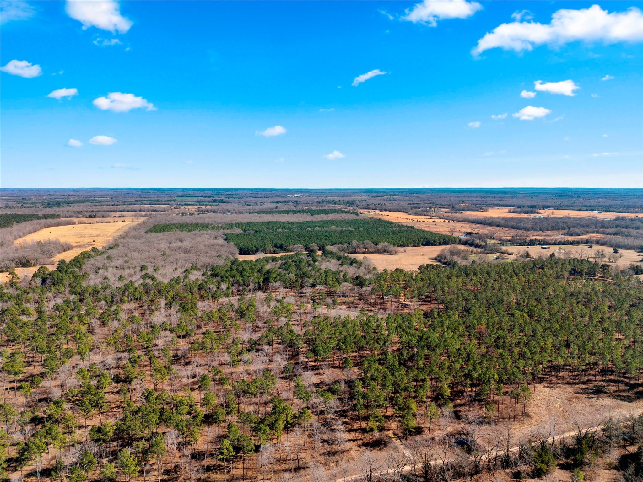 Tbd Cr-4316 De Kalb TX 75559