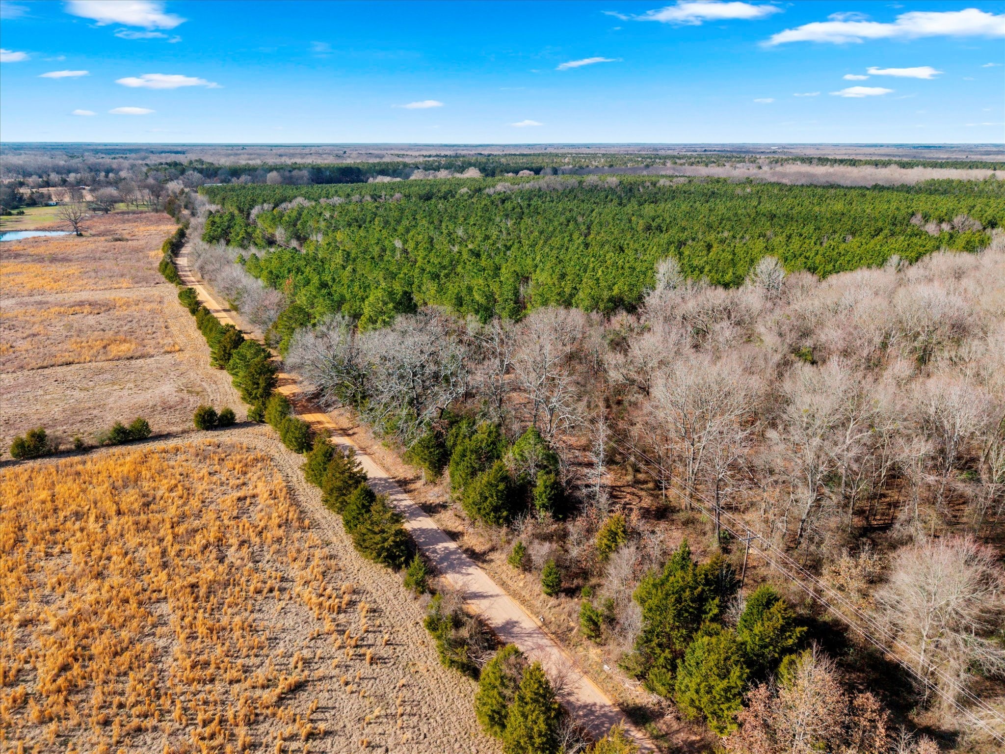 Tbd Cr-4316 De Kalb TX 75559