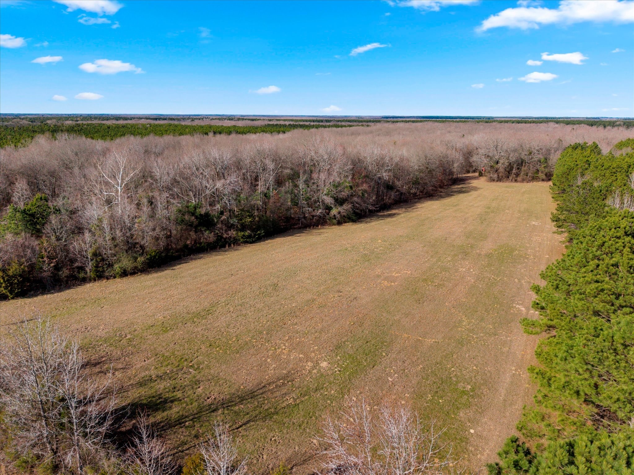Tbd Cr-4316 De Kalb TX 75559