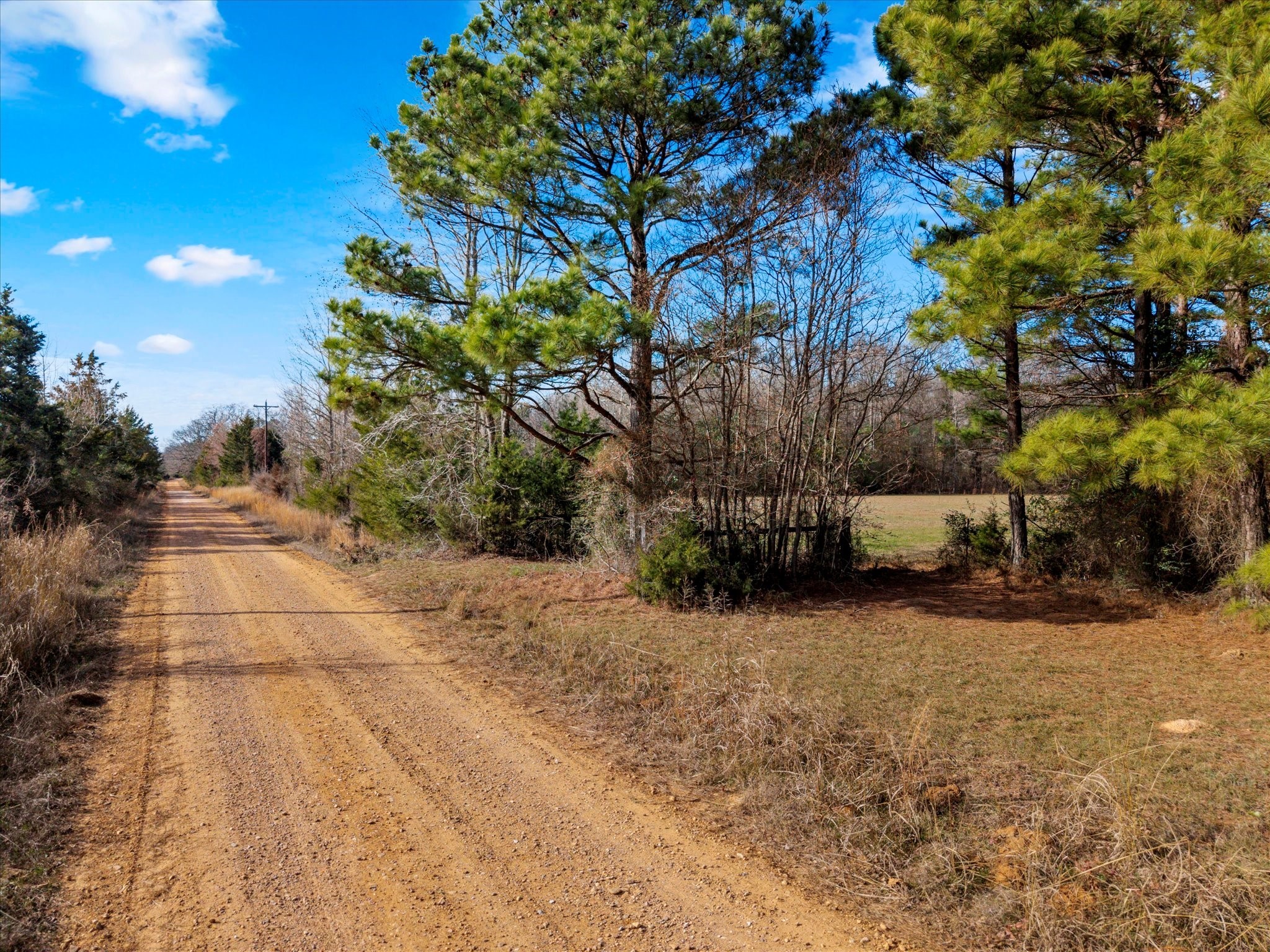 Tbd Cr-4316 De Kalb TX 75559