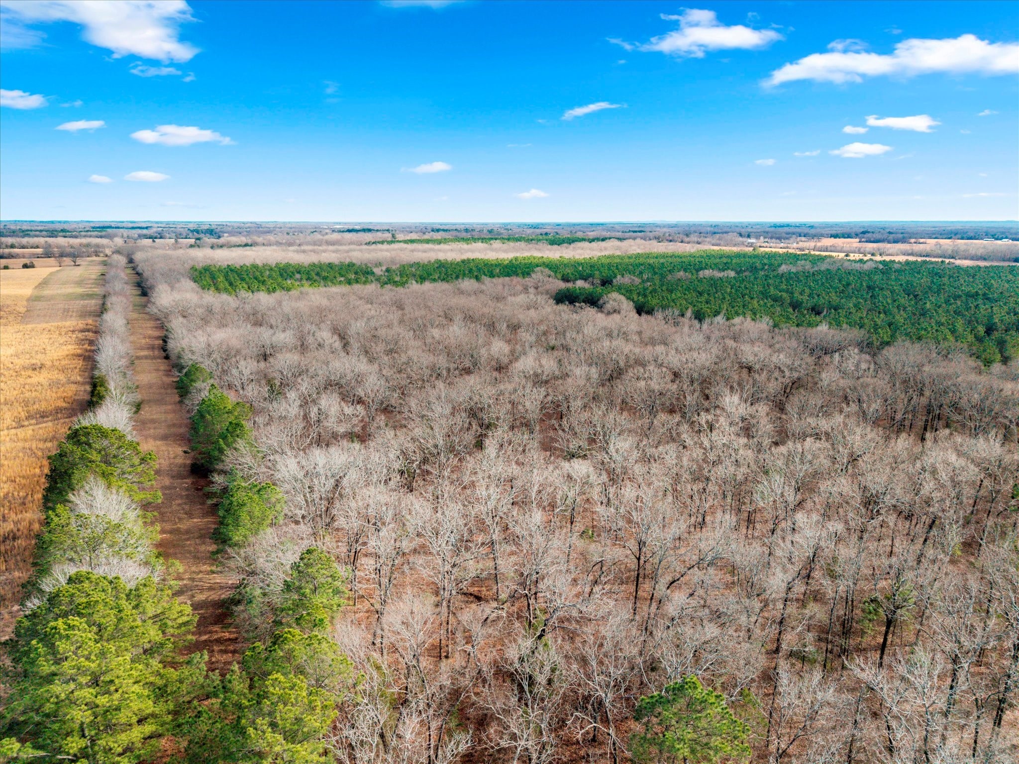 Tbd Cr-4316 De Kalb TX 75559