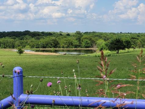 TBD County Road 212 Coolidge TX 76635