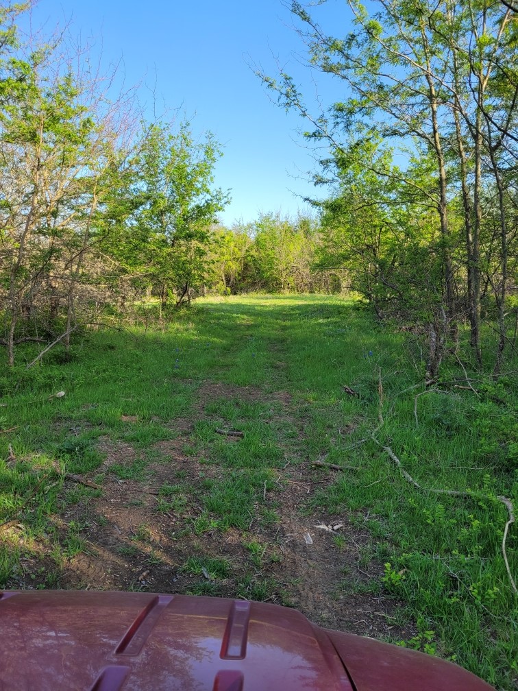 Tbd County Road 212 Coolidge TX 76635