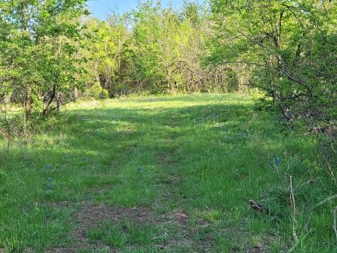 Tbd County Road 212 Coolidge TX 76635