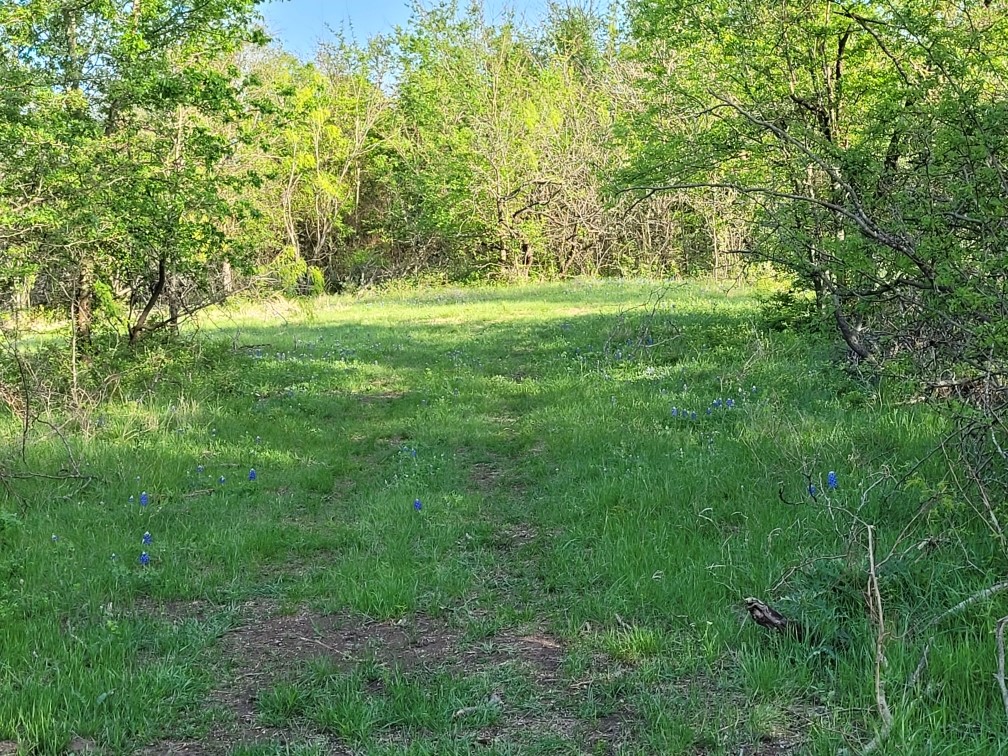Tbd County Road 212 Coolidge TX 76635