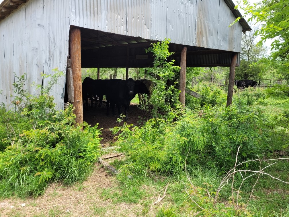 Tbd County Road 212 Coolidge TX 76635