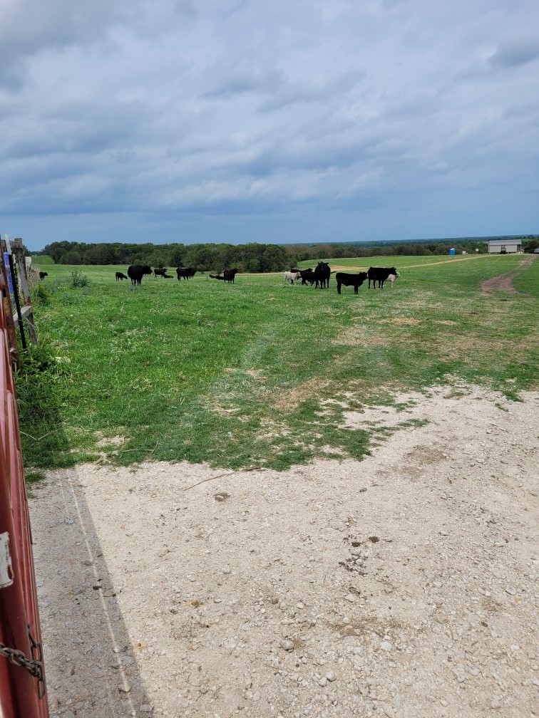 Tbd County Road 212 Coolidge TX 76635