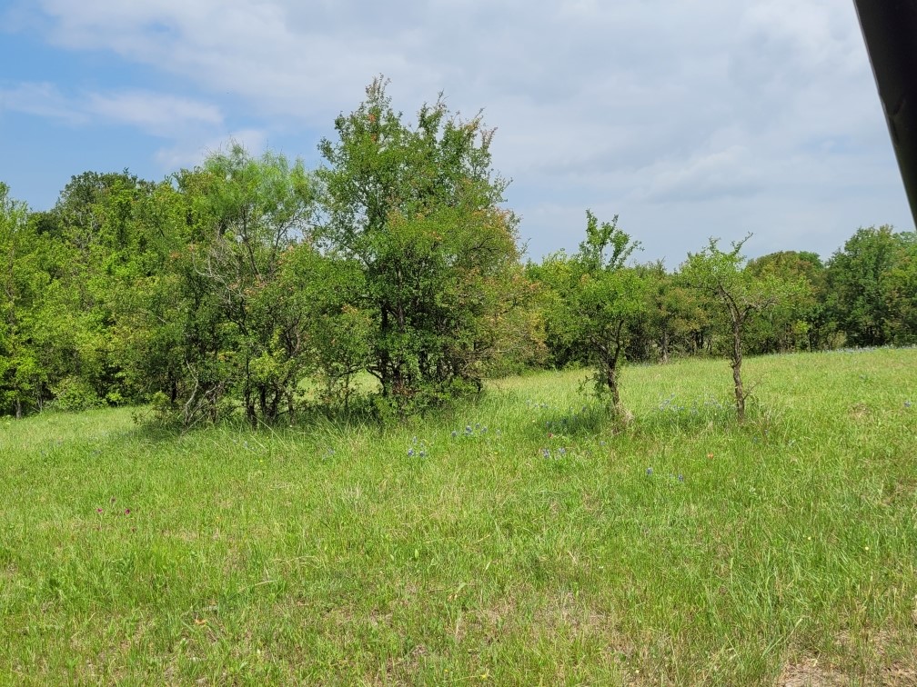 Tbd County Road 212 Coolidge TX 76635