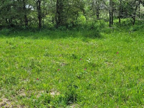 Tbd County Road 212 Coolidge TX 76635