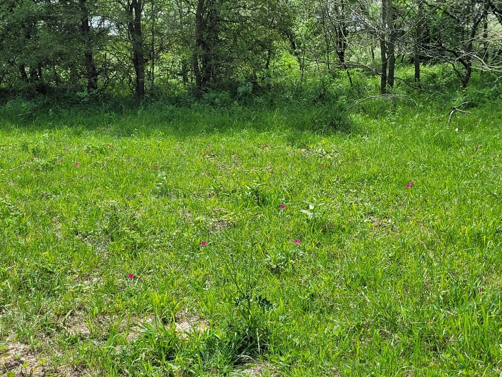 Tbd County Road 212 Coolidge TX 76635