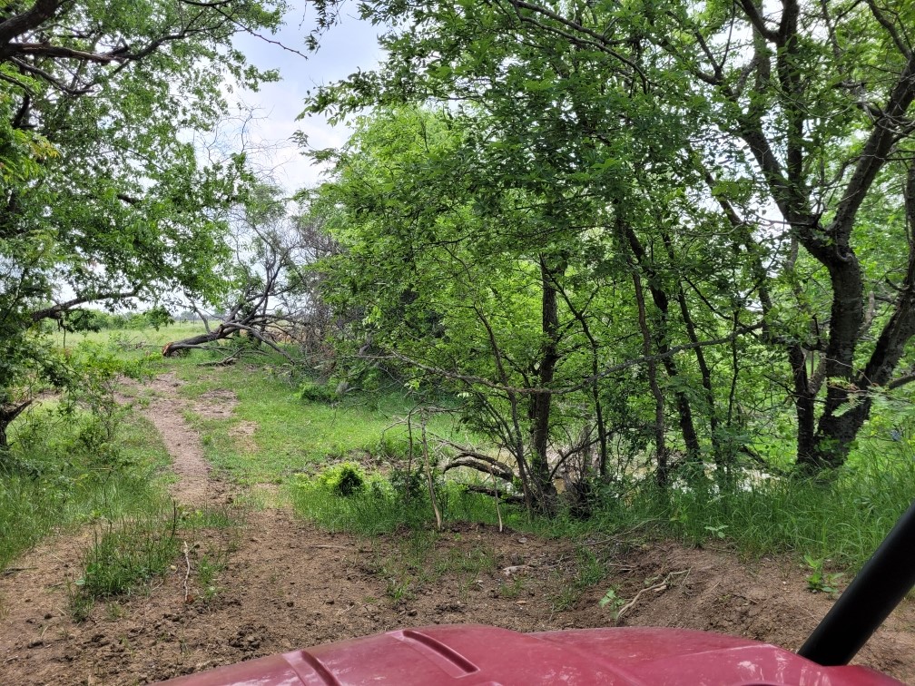 Tbd County Road 212 Coolidge TX 76635