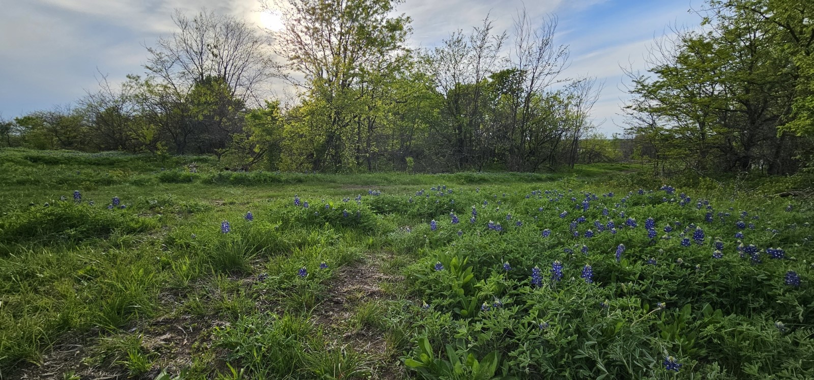 Tbd County Road 212 Coolidge TX 76635