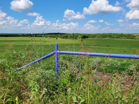 TBD County Road 212 Coolidge TX 76635