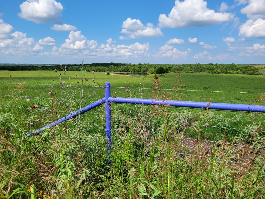 Tbd County Road 212 Coolidge TX 76635