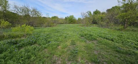 Tbd County Road 212 Coolidge TX 76635