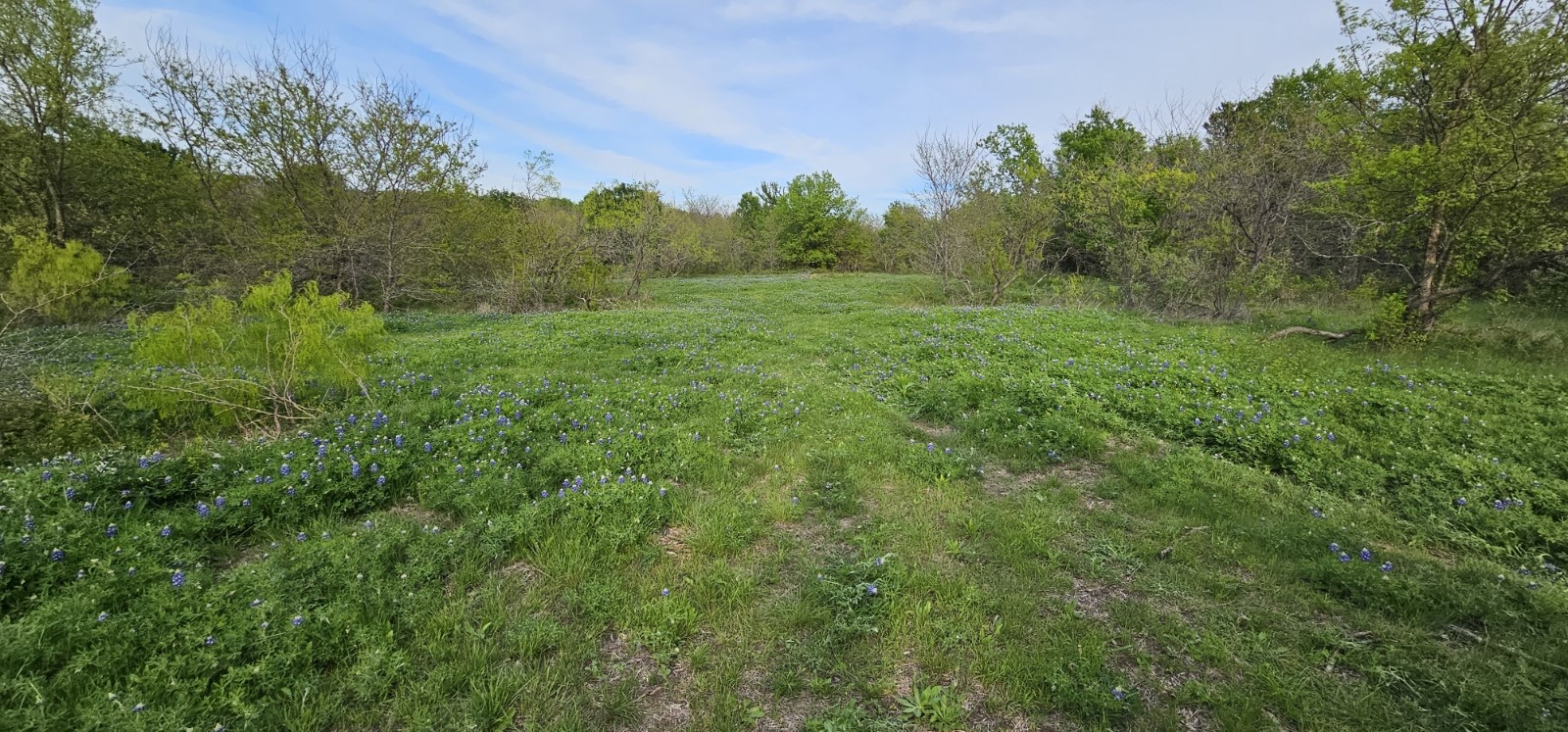 Tbd County Road 212 Coolidge TX 76635