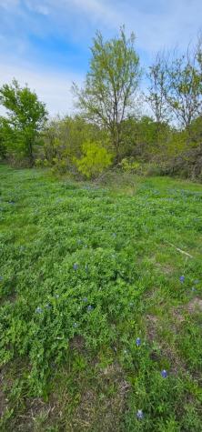 Tbd County Road 212 Coolidge TX 76635