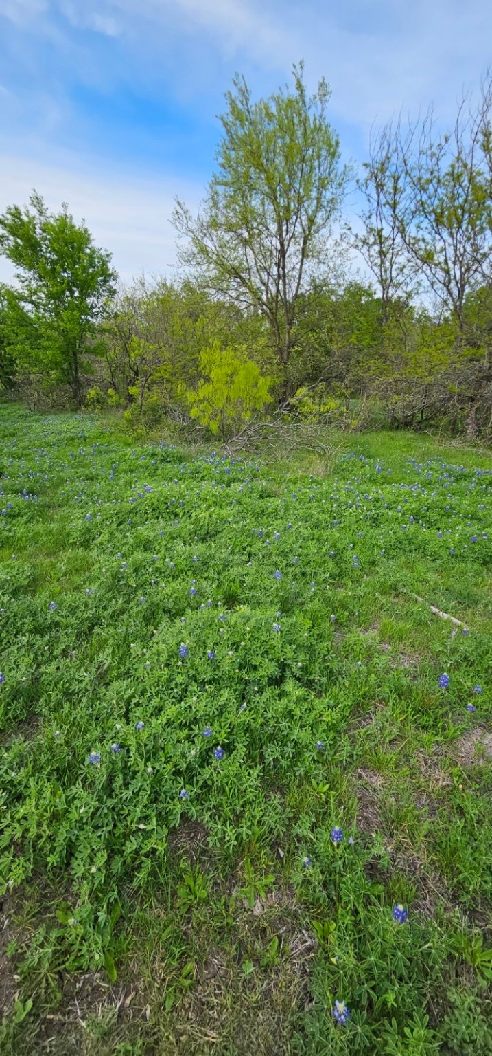 Tbd County Road 212 Coolidge TX 76635