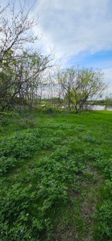 Tbd County Road 212 Coolidge TX 76635