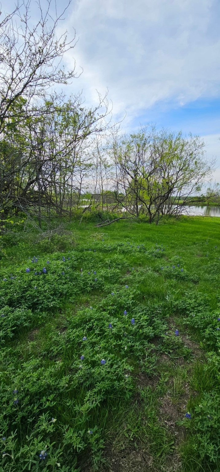 Tbd County Road 212 Coolidge TX 76635