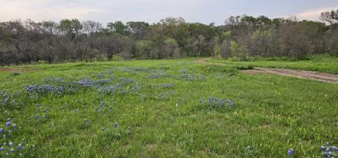 Tbd County Road 212 Coolidge TX 76635