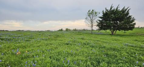 Tbd County Road 212 Coolidge TX 76635