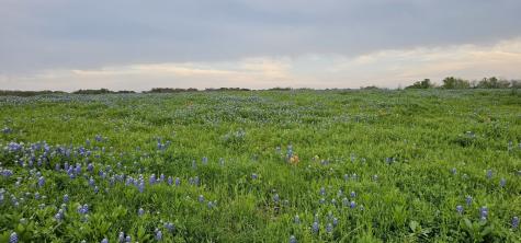 Tbd County Road 212 Coolidge TX 76635