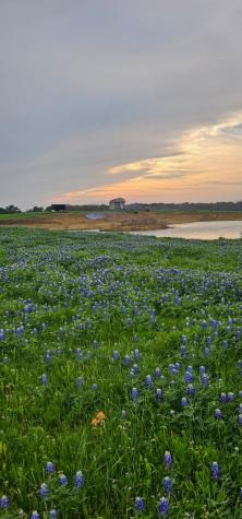 Tbd County Road 212 Coolidge TX 76635