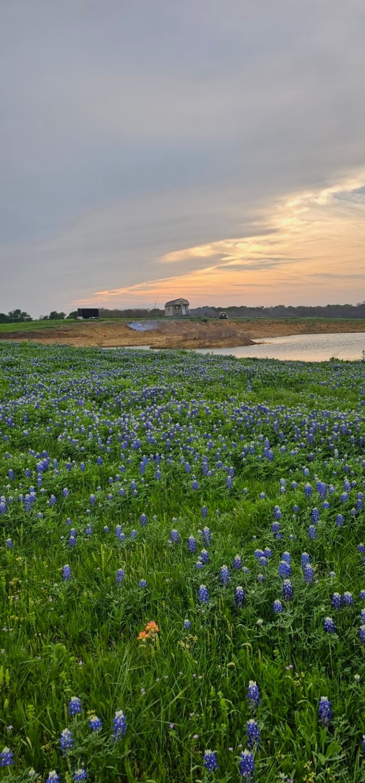 Tbd County Road 212 Coolidge TX 76635