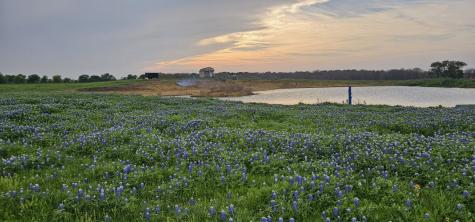 Tbd County Road 212 Coolidge TX 76635