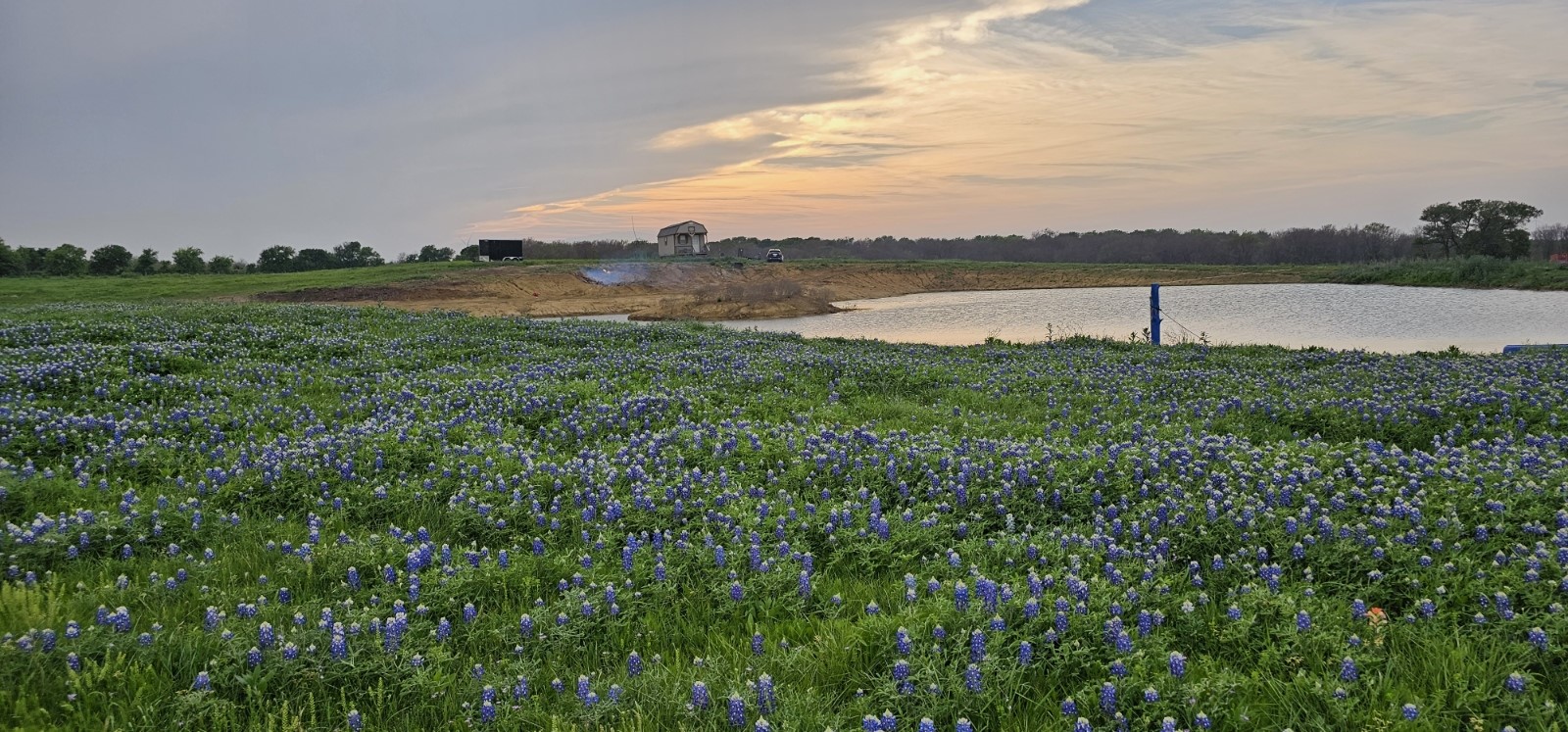 Tbd County Road 212 Coolidge TX 76635