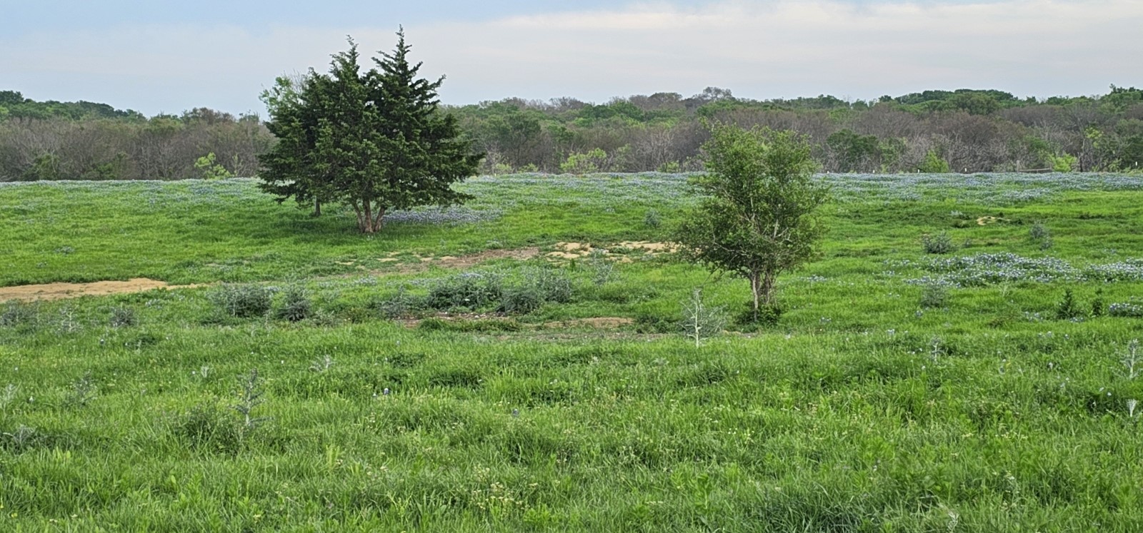Tbd County Road 212 Coolidge TX 76635