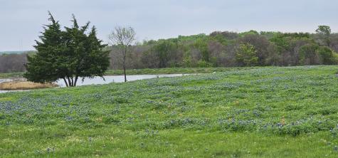 Tbd County Road 212 Coolidge TX 76635