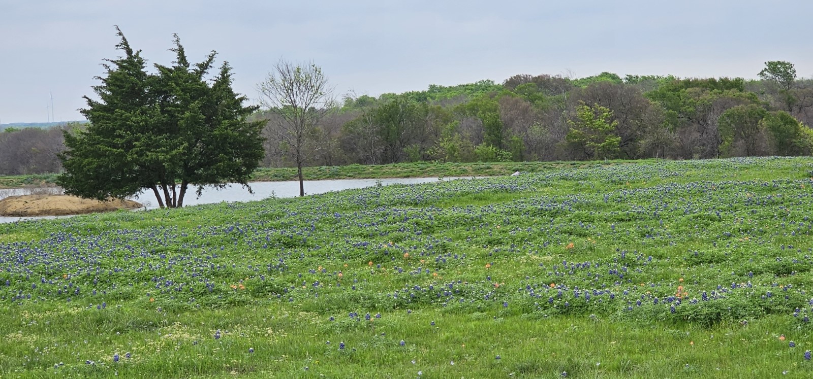 Tbd County Road 212 Coolidge TX 76635
